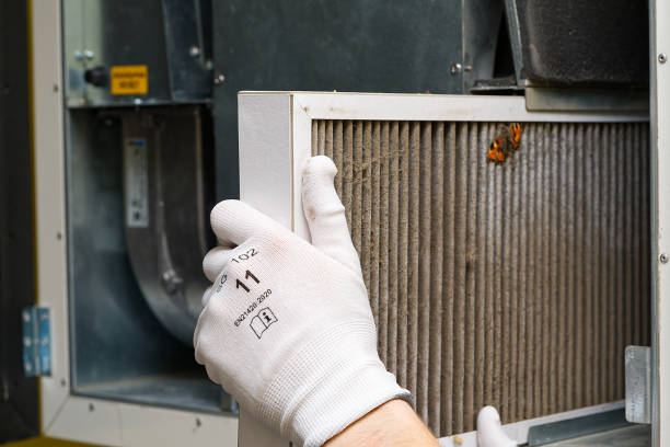 Best Emergency Air Duct Cleaning  in Wimauma, FL