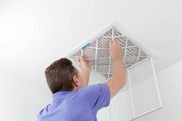 Air Duct Mold Removal in Wimauma, FL